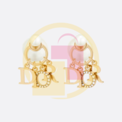 Dior Tribales Earrings in Virginia